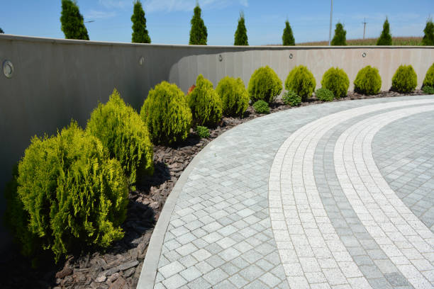 Best Driveway Paving Contractor  in West Elmira, NY